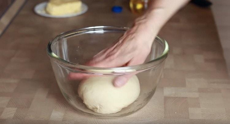 Mettiamo l'impasto finito in una ciotola unta con olio vegetale.