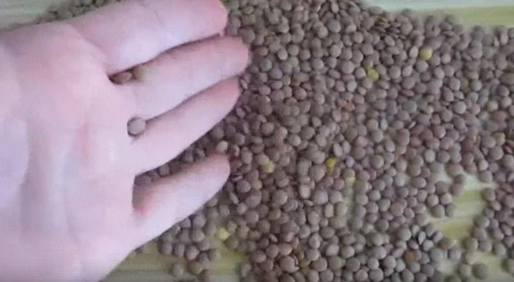 Pinag-uuri namin ang mga lentil.