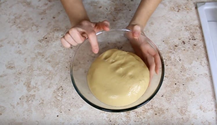 Trasferisci l'impasto in una ciotola e lascialo per mezz'ora.