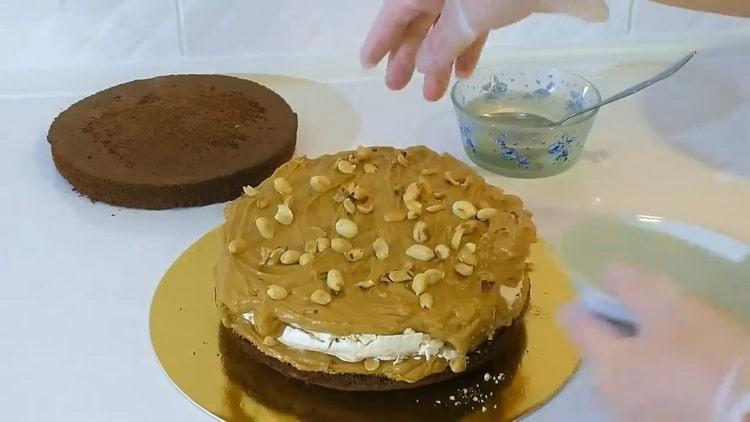 Disporre strati di torta per fare una torta.