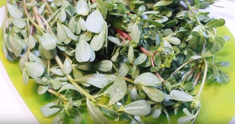 Purslane lavare bene.