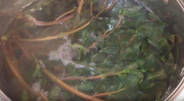 Purslane messo in acqua bollente.