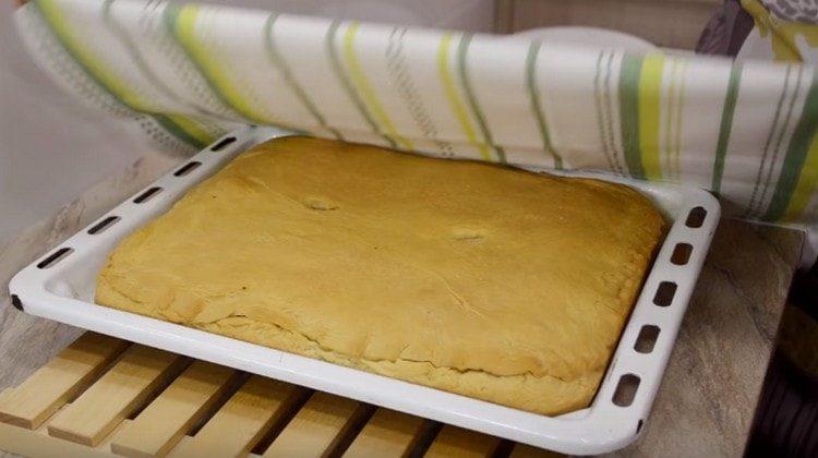 Copriamo la torta finita con un asciugamano.