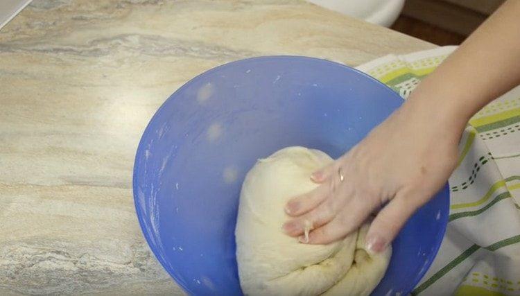 Impastiamo la pasta e lasciamola nuovamente lievitare.