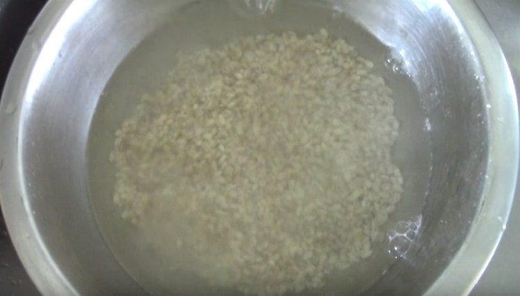 Versa l'orzo con acqua e lascialo riposare così