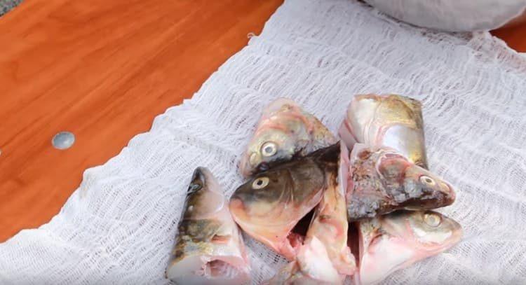 Distribuire le teste di pesce in una garza, fare un nodo.