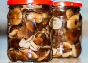 Raccolta di funghi per l'inverno - come decapare