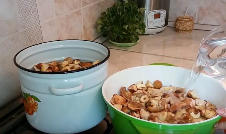 Riempi i funghi con acqua.