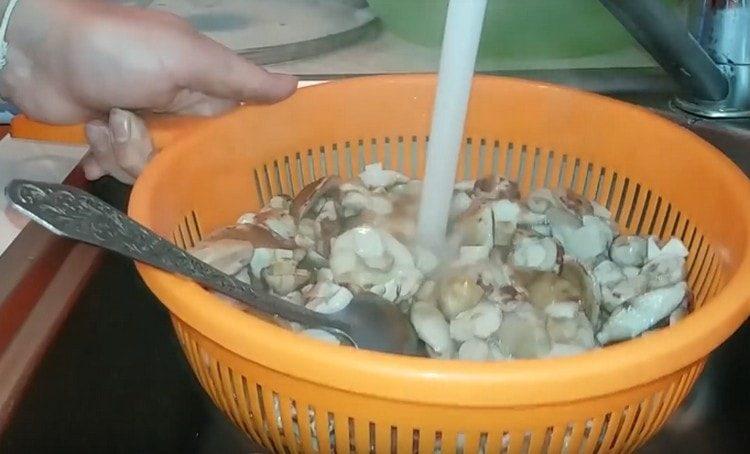 quindi è necessario gettare i funghi in uno scolapasta e risciacquare.