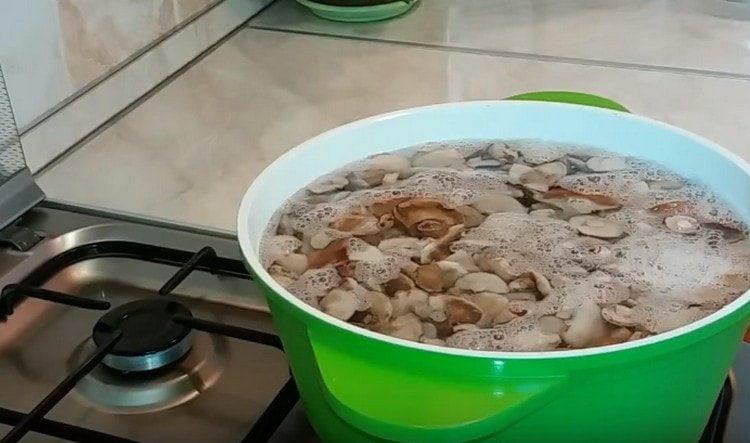 Ancora una volta, riempi d'acqua i funghi e mettili a cuocere.