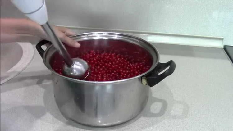 tritare il ribes con un frullatore