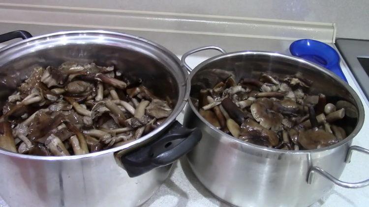 Come cucinare i funghi e quanto