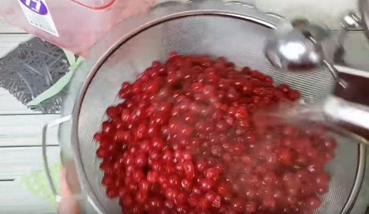 Il ribes versa acqua bollente per 30 secondi.