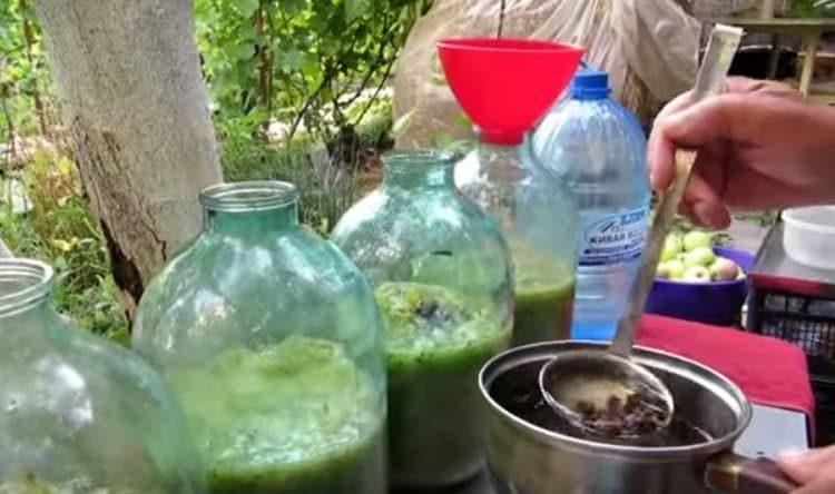 preparare in anticipo lievito a base di zucchero, acqua e uva passa.