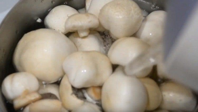 Riempi i funghi con un'ode e cuoci.