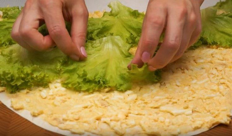 Distribuire il ripieno di uova su un foglio di pane pita, spalmare la lattuga sopra.