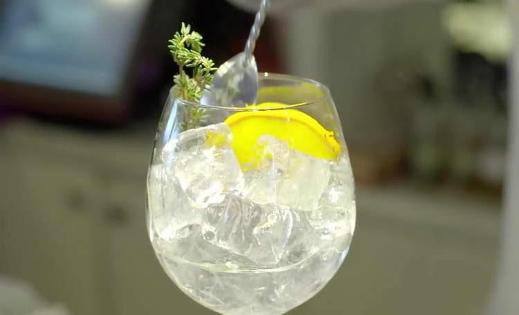 Gin and Tonic Cocktail