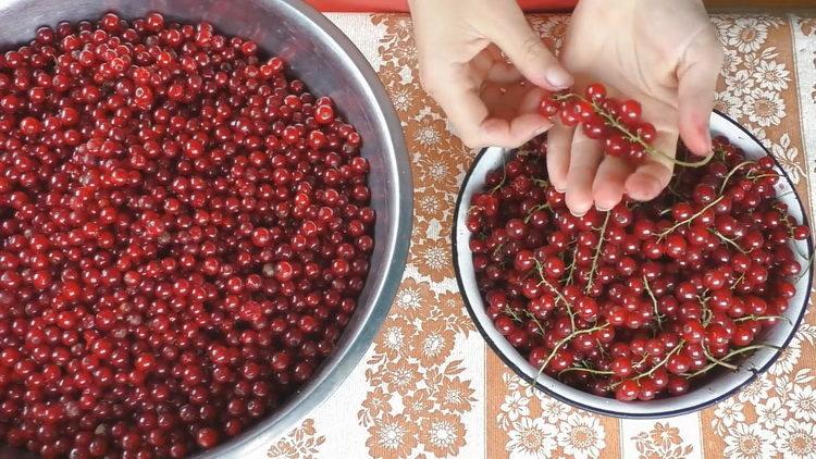 Cucinare il vino di ribes rosso