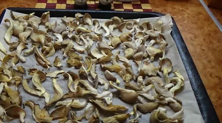 come asciugare i funghi nel forno