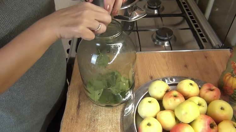 metti le foglie di ciliegio sul fondo del barattolo