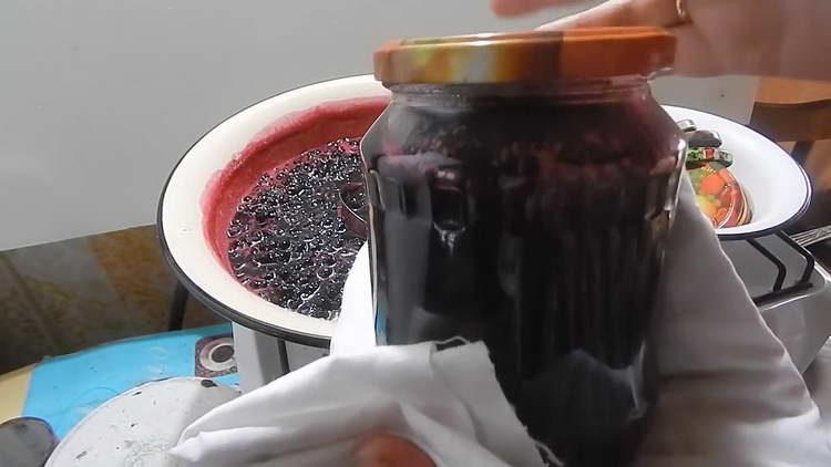 ribes nero di cinque minuti