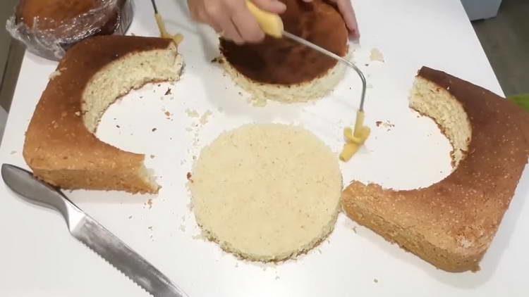 modalità torta in due pezzi