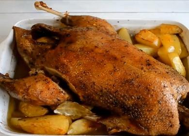 Oca al forno con patate  e mele nella manica, al forno, intere