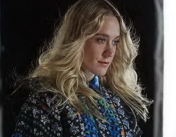 70 foto più interessanti della famosa Chloe Sevigny